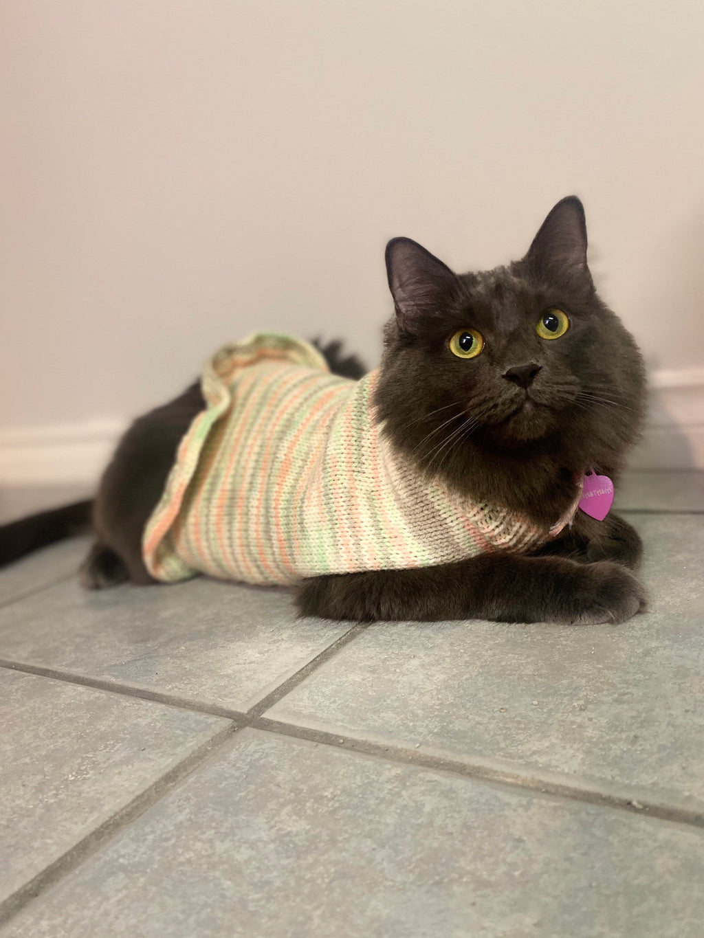 Dog (pet) sweater dress
