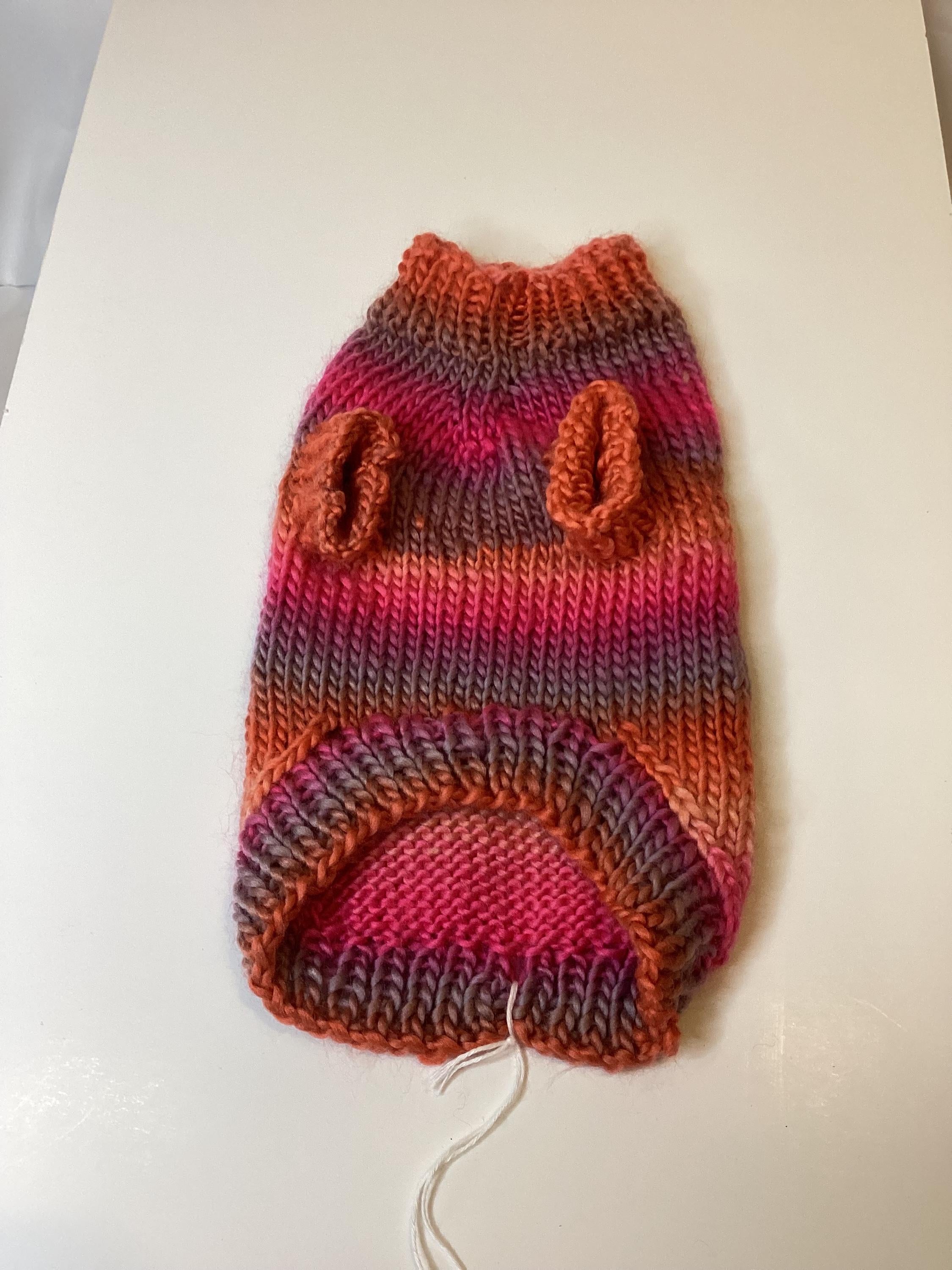 Dog (pet) sweater - X-Small