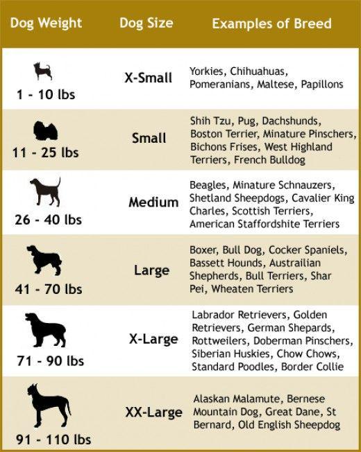Dog (pet) Sweater, Large (41-70 lbs)