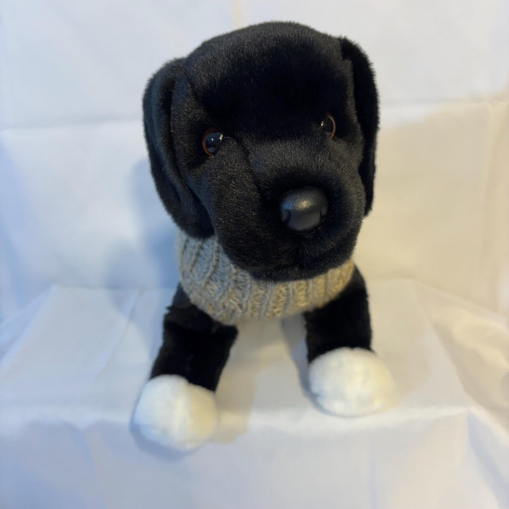 Dog (pet) sweater