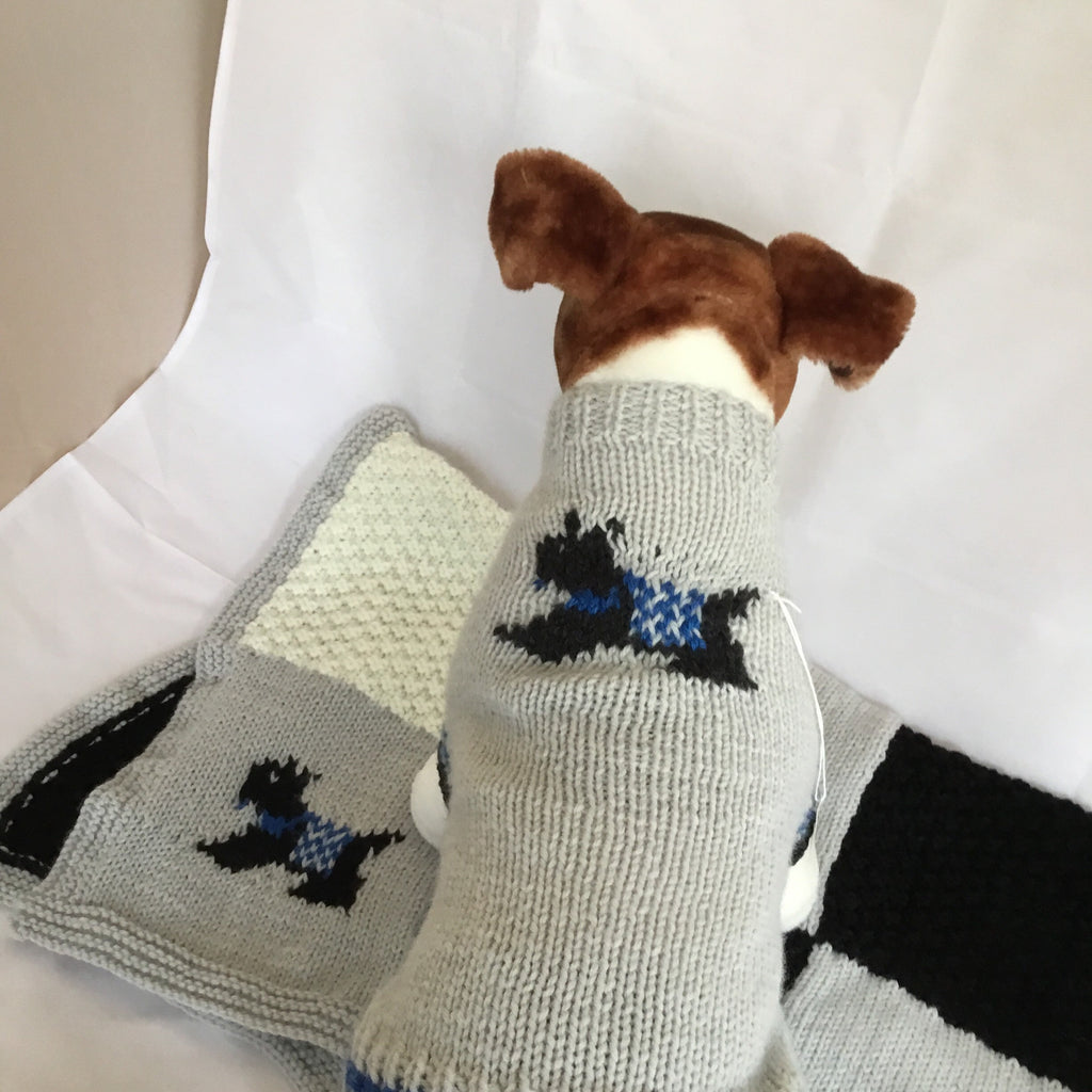 Dog (pet) sweater and blanket - size Medium