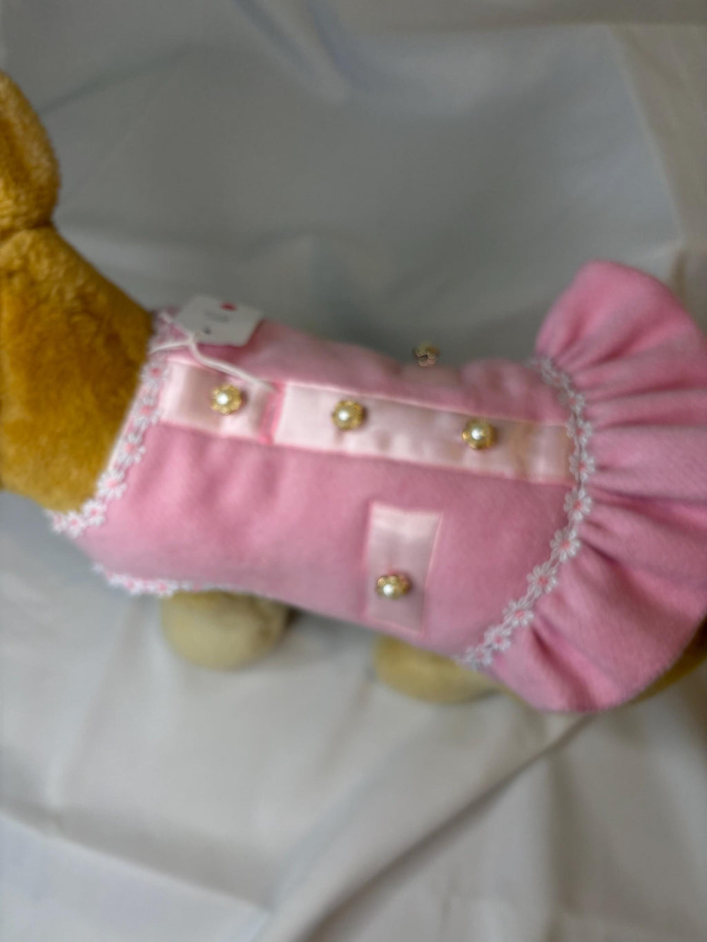 Dog (pet) Wool Coat