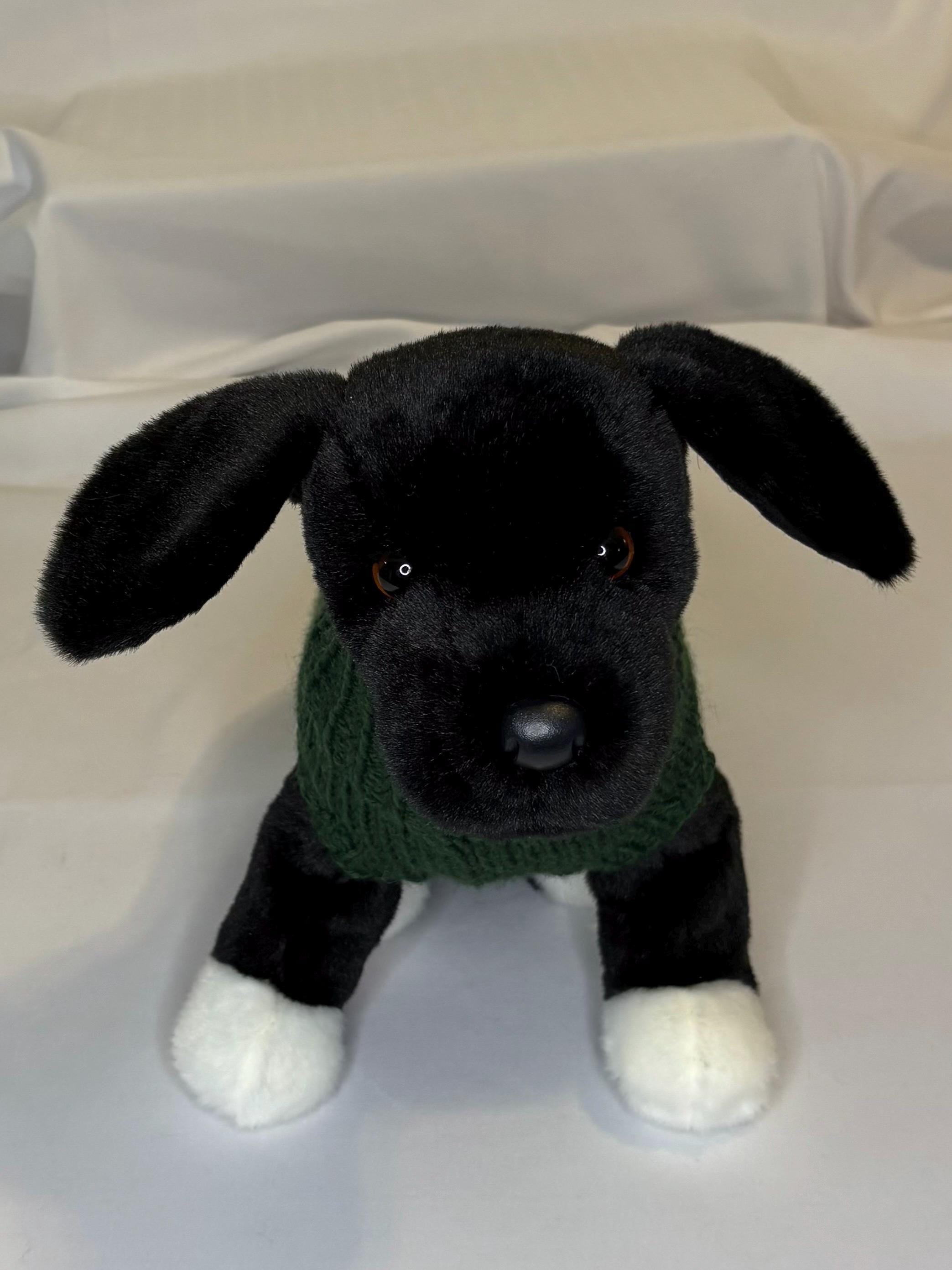 Dog (pet) sweater, X-Small (1-10 lbs)