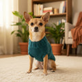 Dog (pet) sweater