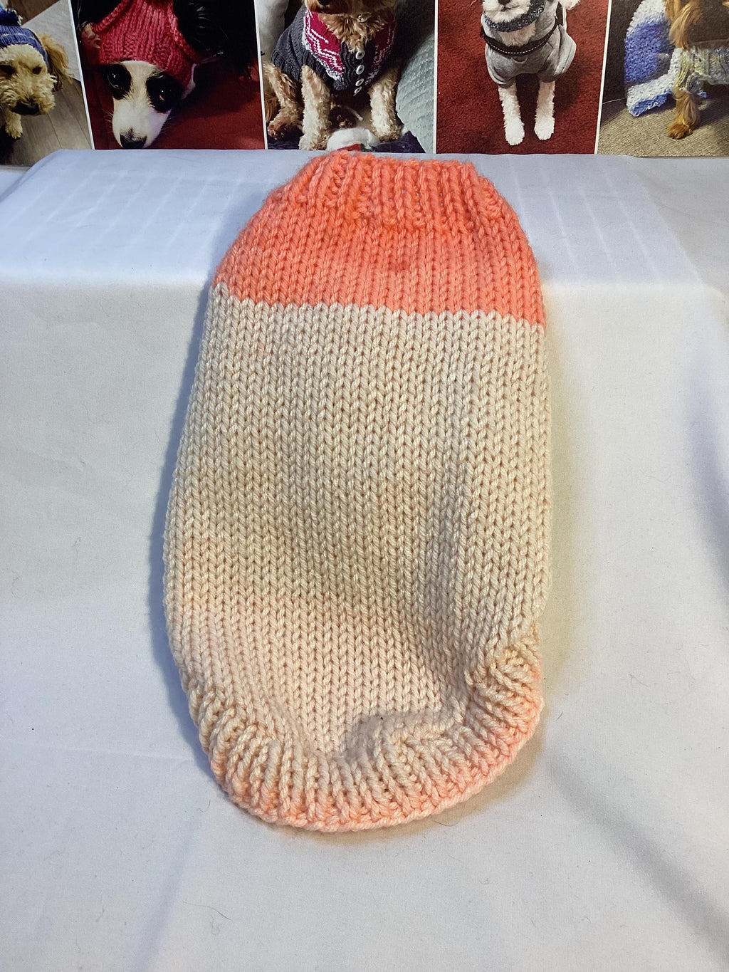 Dog (pet) sweater, Small (10-25 lbs)