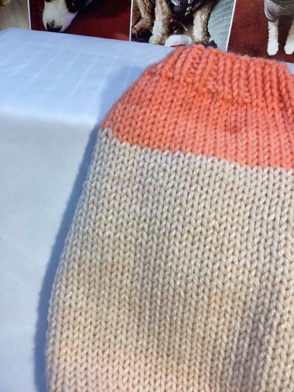 Dog (pet) sweater, Small (10-25 lbs)