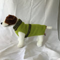 Dog (pet) sweater (Medium)