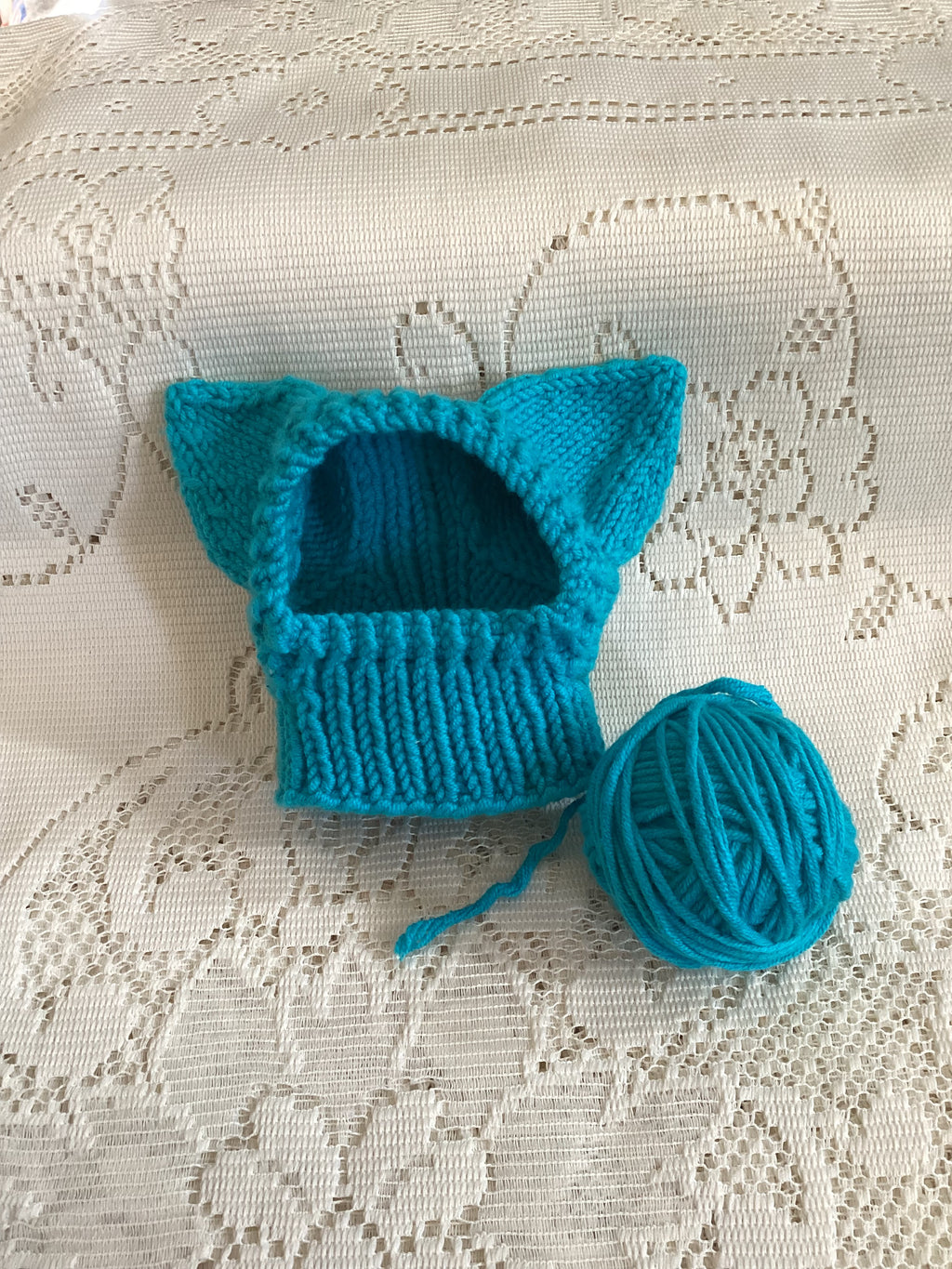 Pointy Eared Pet Hat - One Size