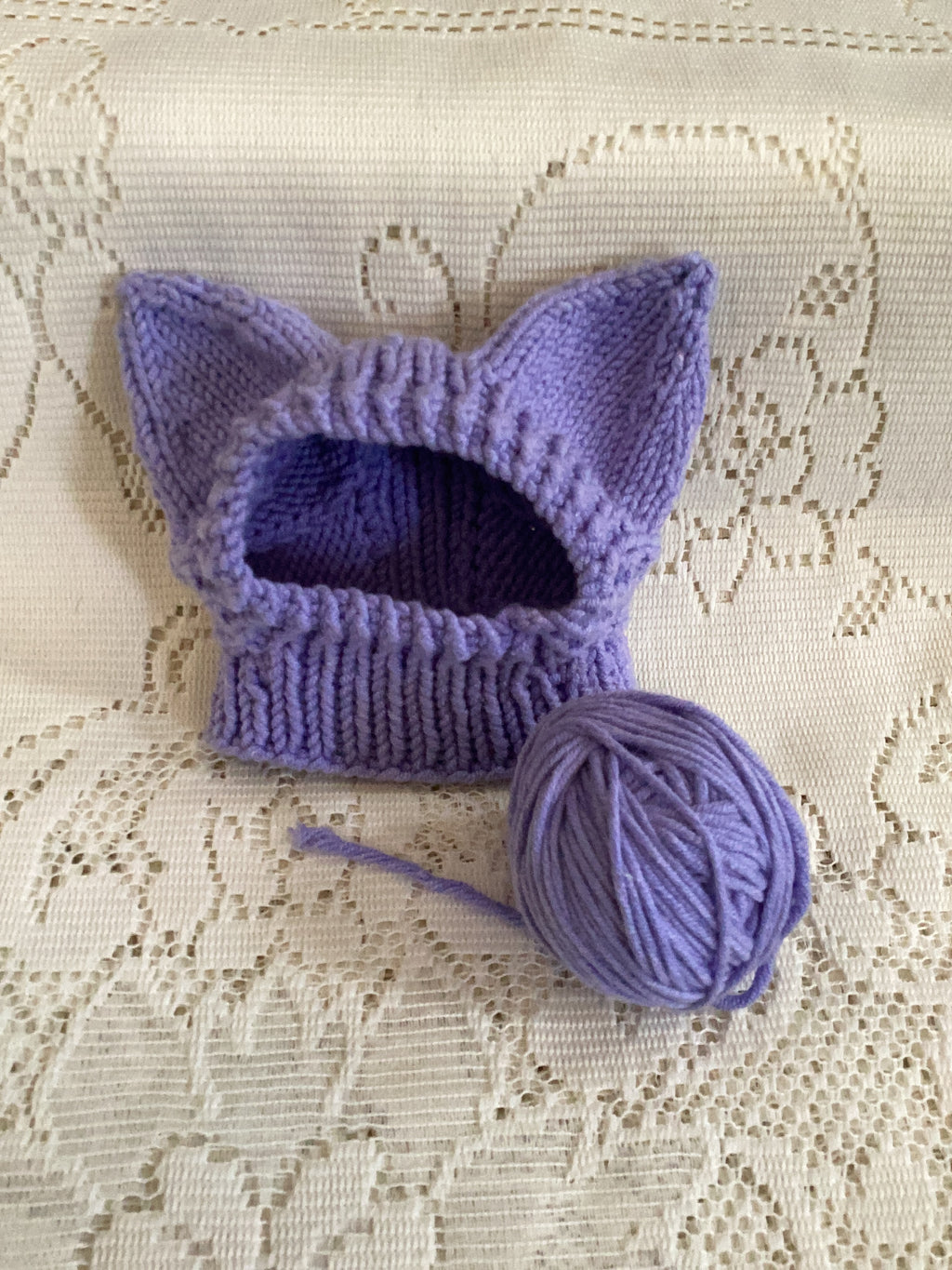 Pointy Eared Pet Hat - One Size