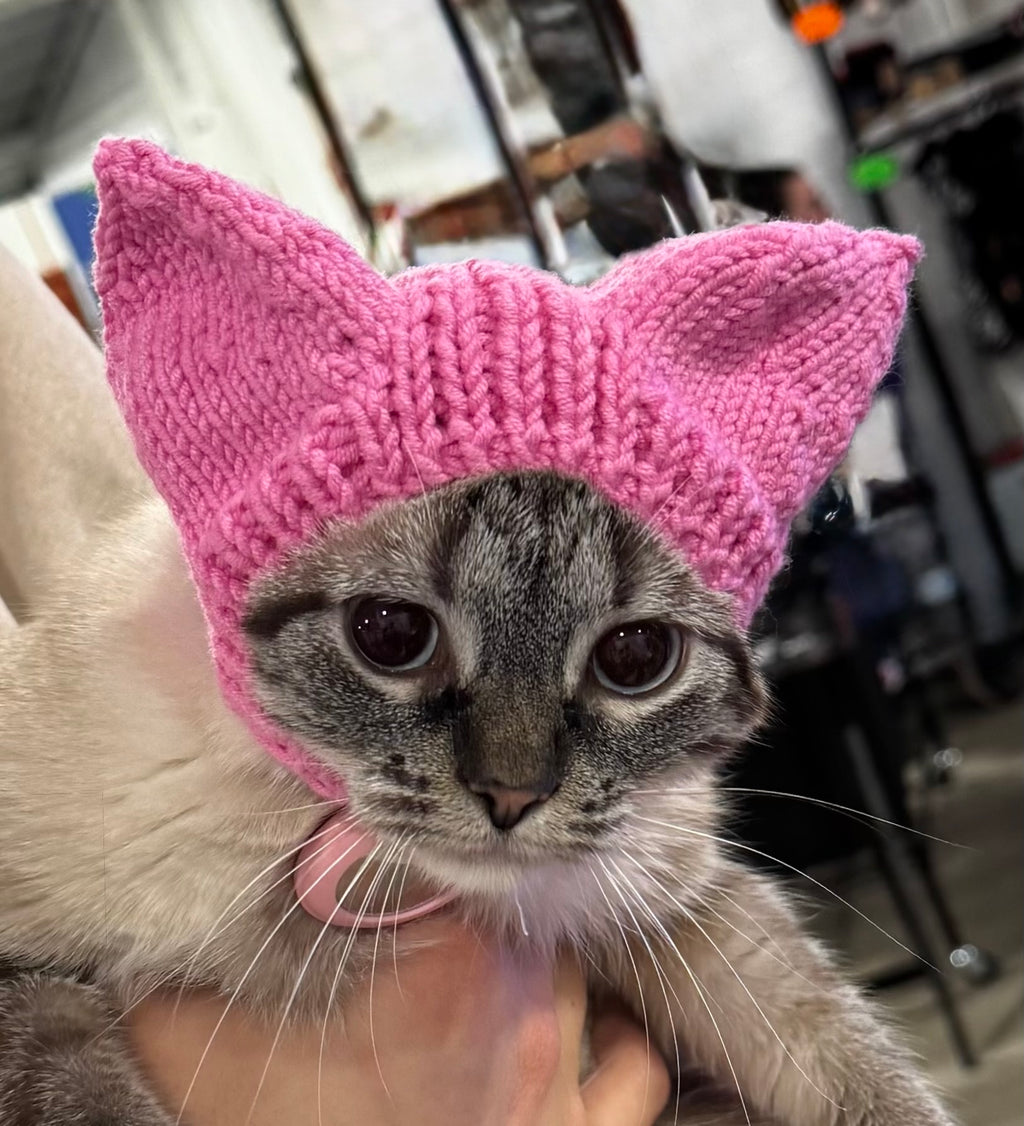 Pointy Eared Pet Hat - One Size
