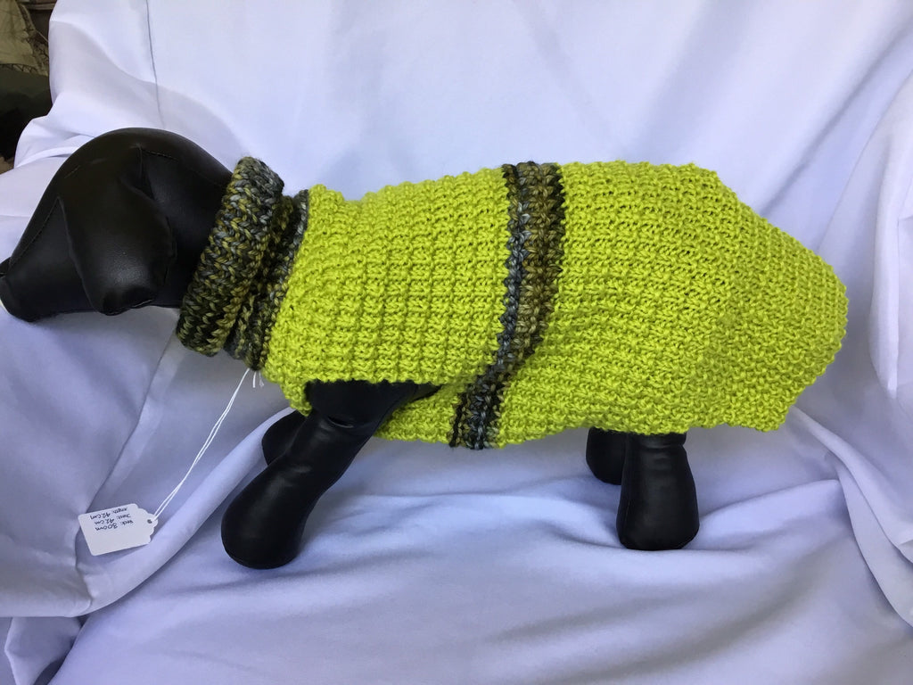 Dog (pet) sweater (Medium)