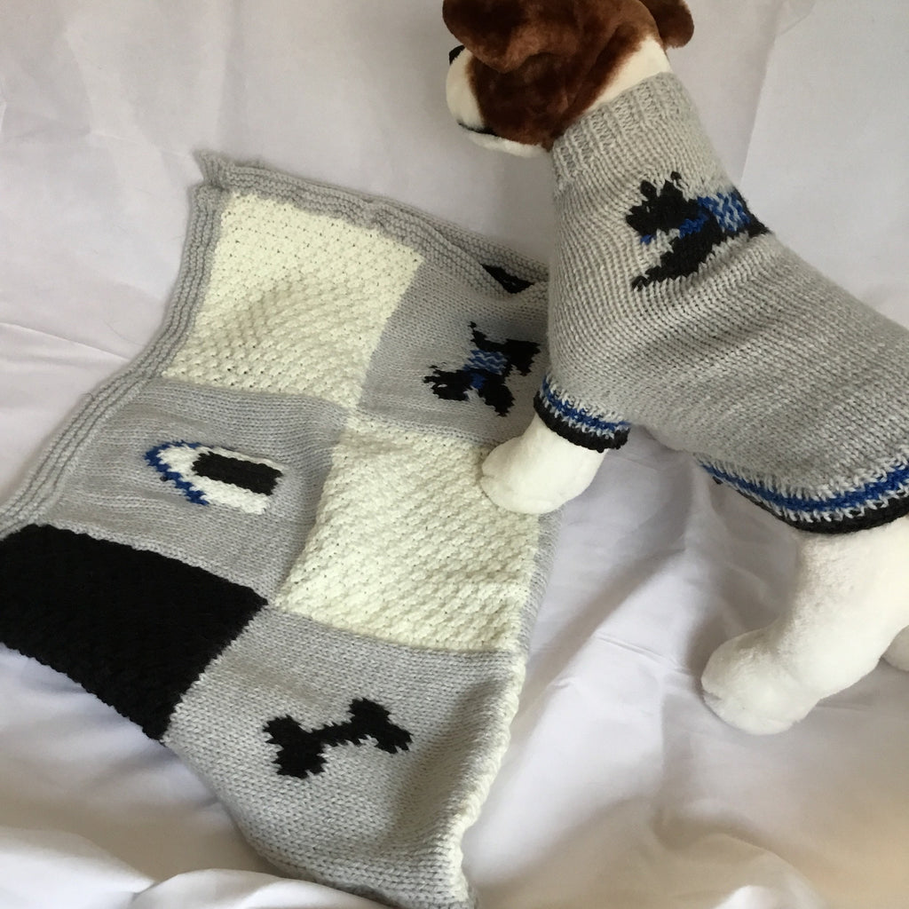 Dog (pet) sweater and blanket - size Medium
