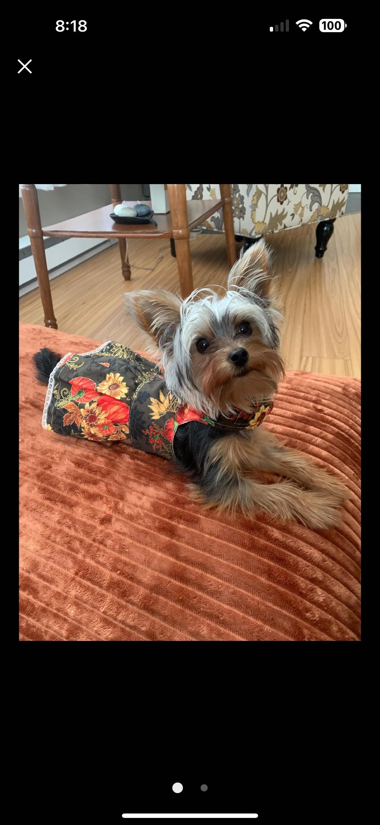 Dog (pet) Fall/Thanksgiving Dress