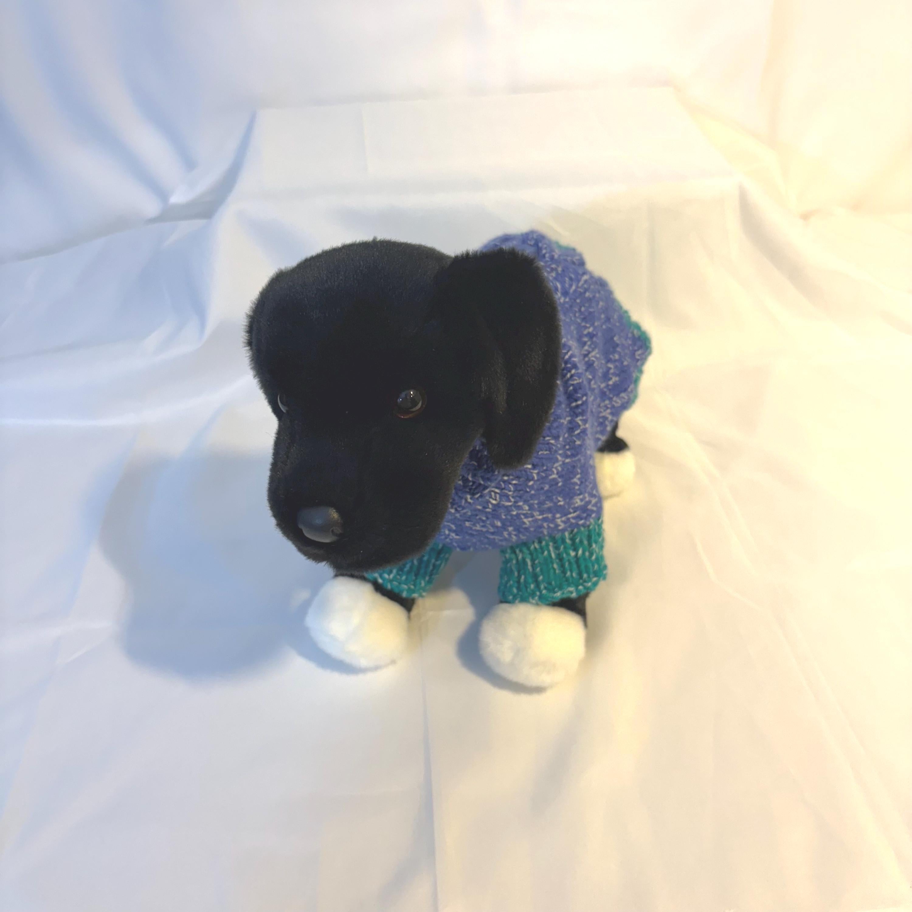 Dog (pet) sweater